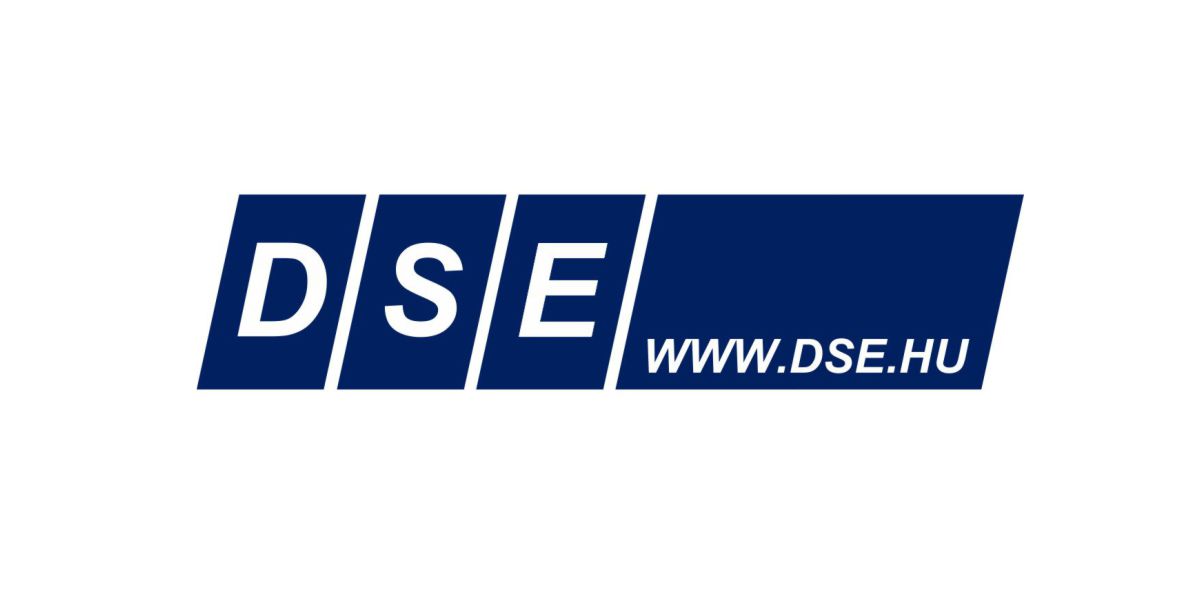DSE Consulting